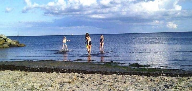 Børn leger i vandet ved stranden