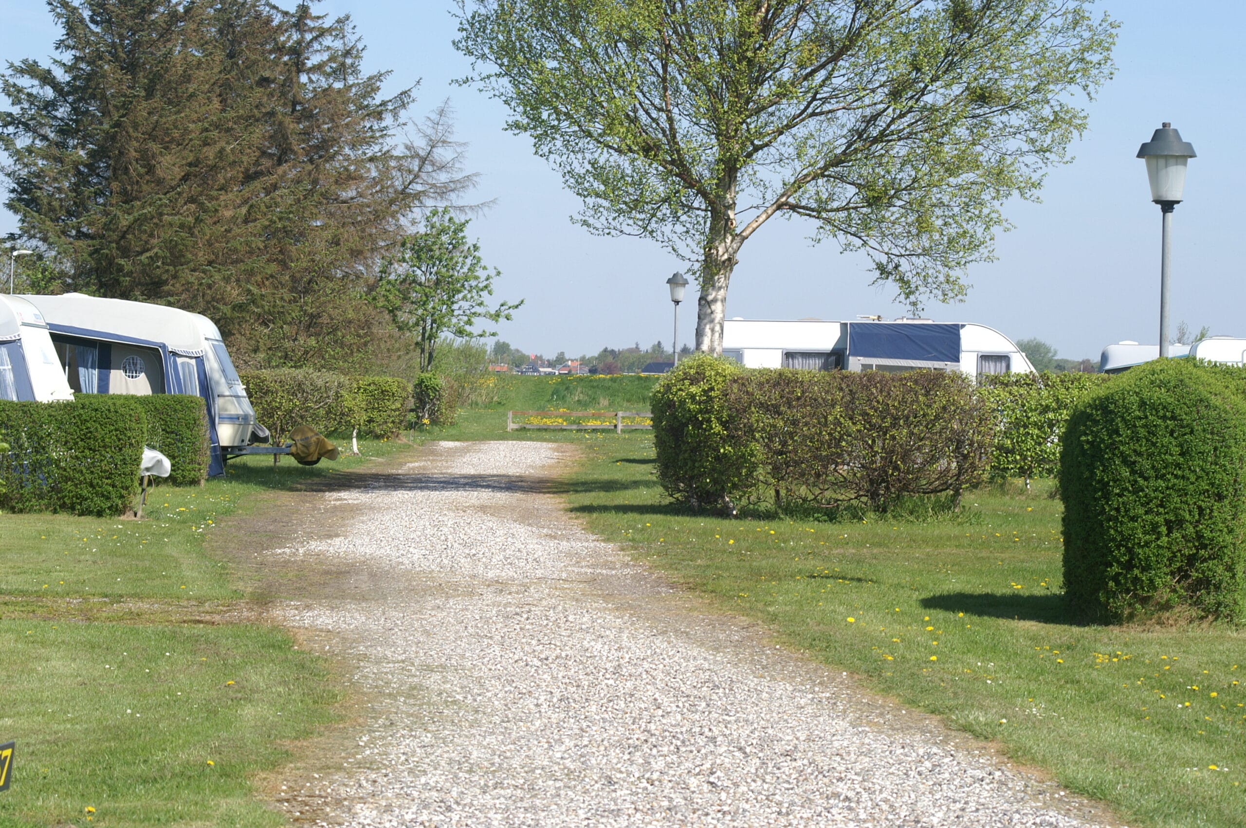 Campingplads med grønne hække og parkerede campingvogne